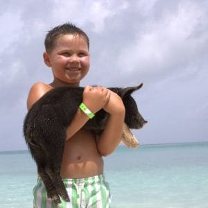 Rose Island swimming pigs tour