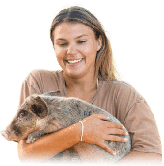 Woman holds a pig