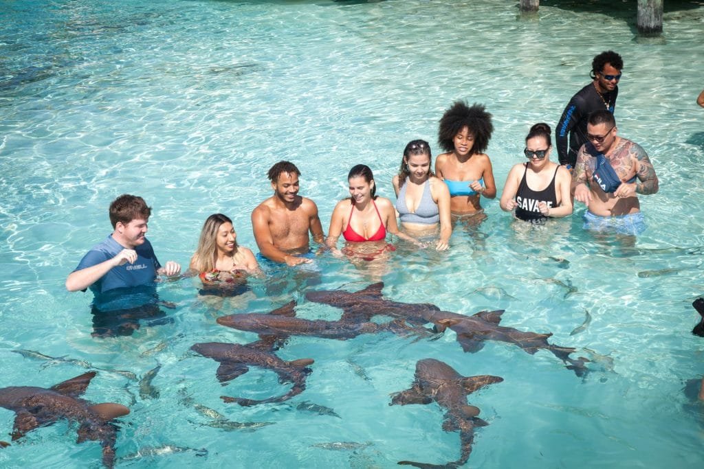 Guests with nurse sharks