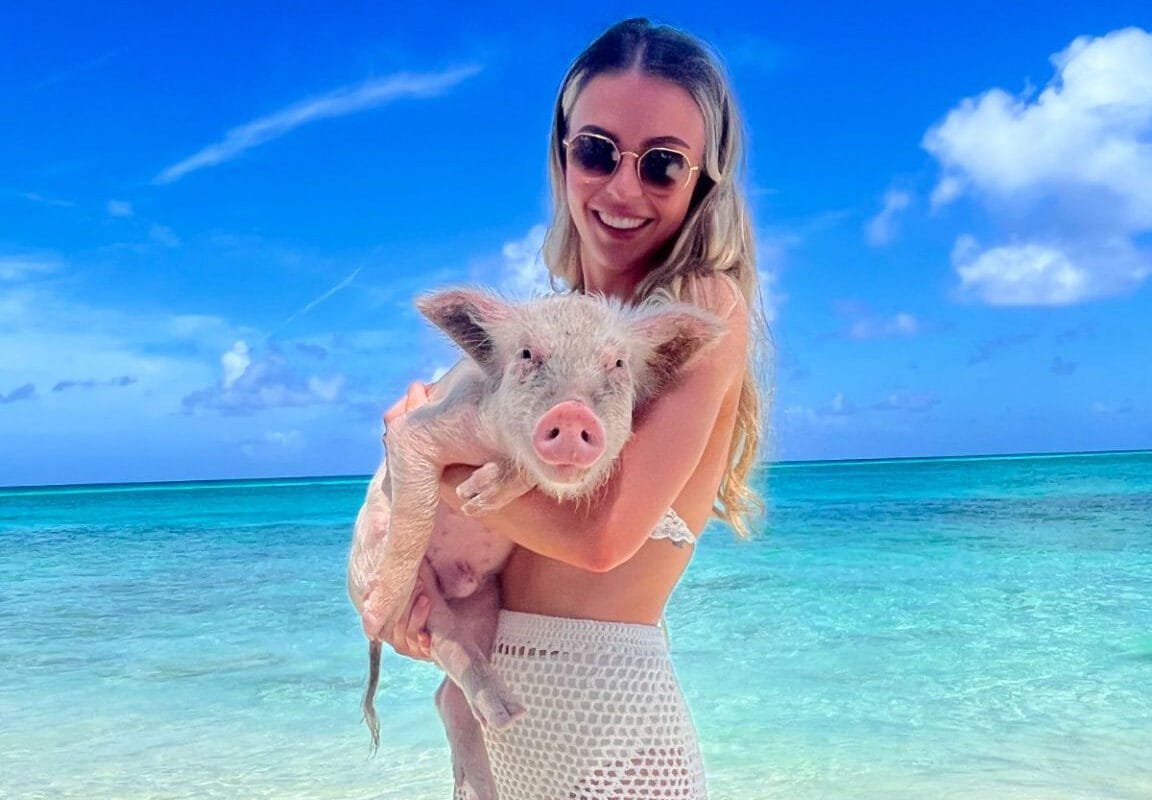Swim with the Original Swimming Pigs