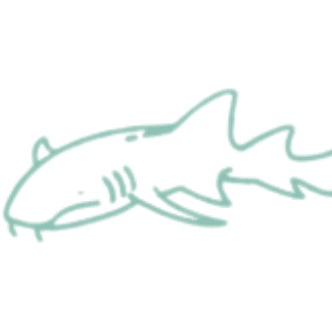 Nurse Shark icon