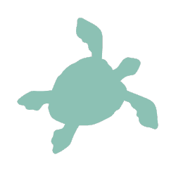 Turtles