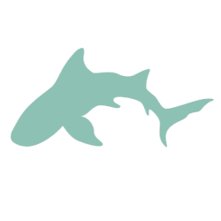 Sharks