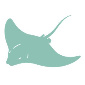 Stingray