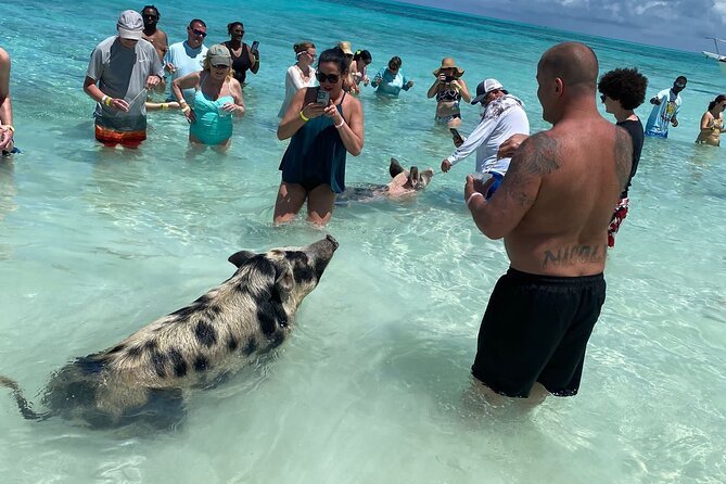 Harbour Island Excursions