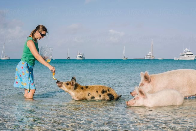 Bahamas Boat Tours