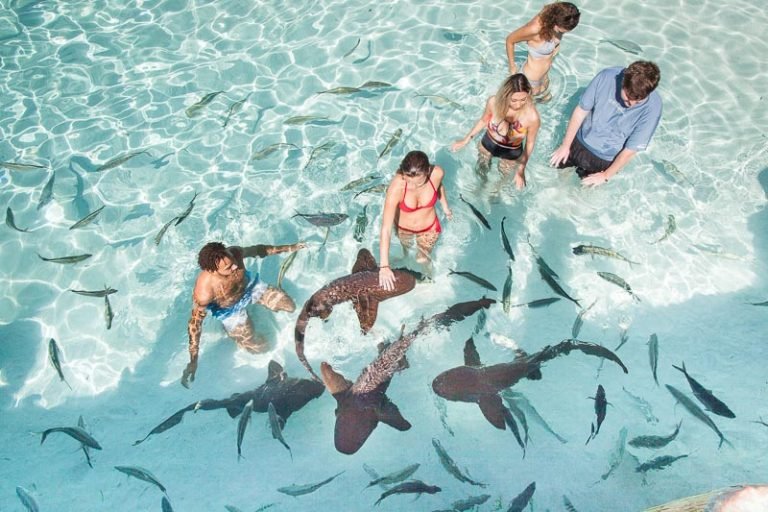 Boat Tours Nassau Bahamas