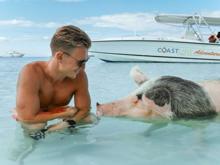 Exuma Bahamas Swim With Pigs