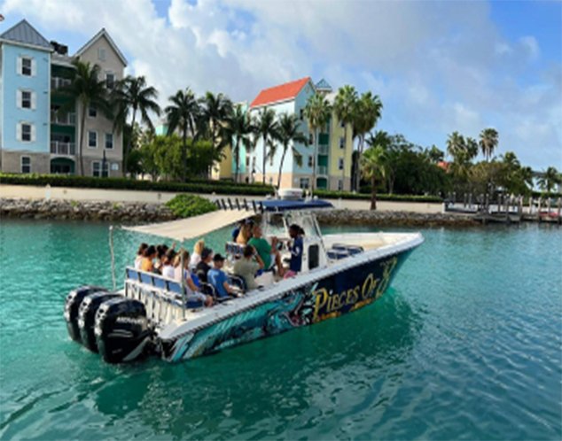 Harbour Tour & Rose Island Swimming Pigs