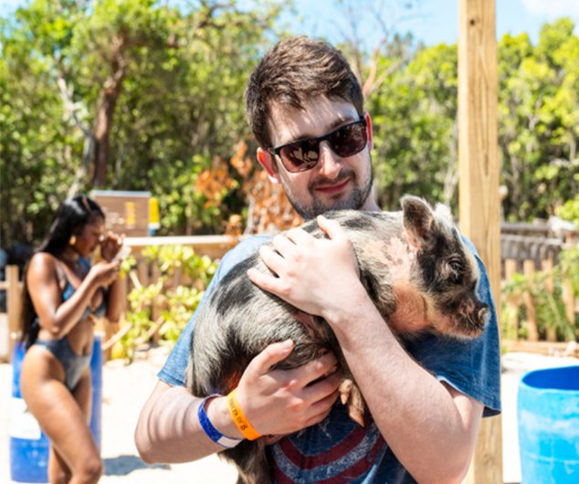 Harbour Tour & Swimming Pigs (Cruise Passengers Only)