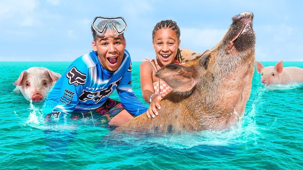 Swimming With Pigs Nassau Tours