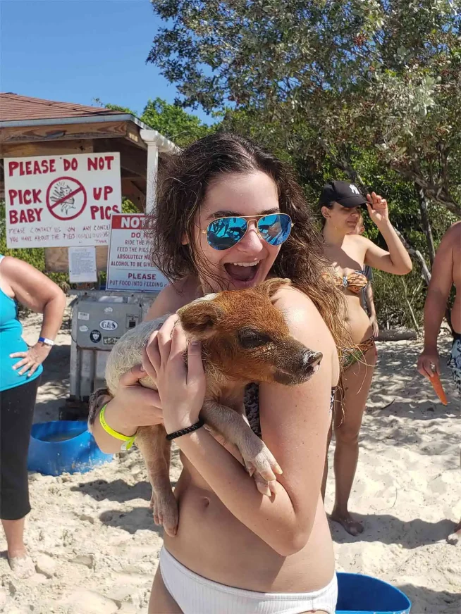 Rose Island Bahamas Pigs Excursions