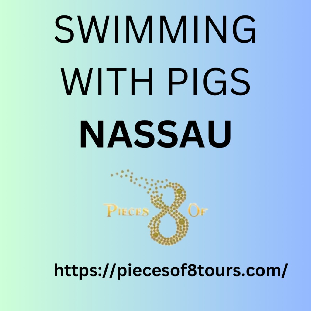 Pigs Nassau With Swim
