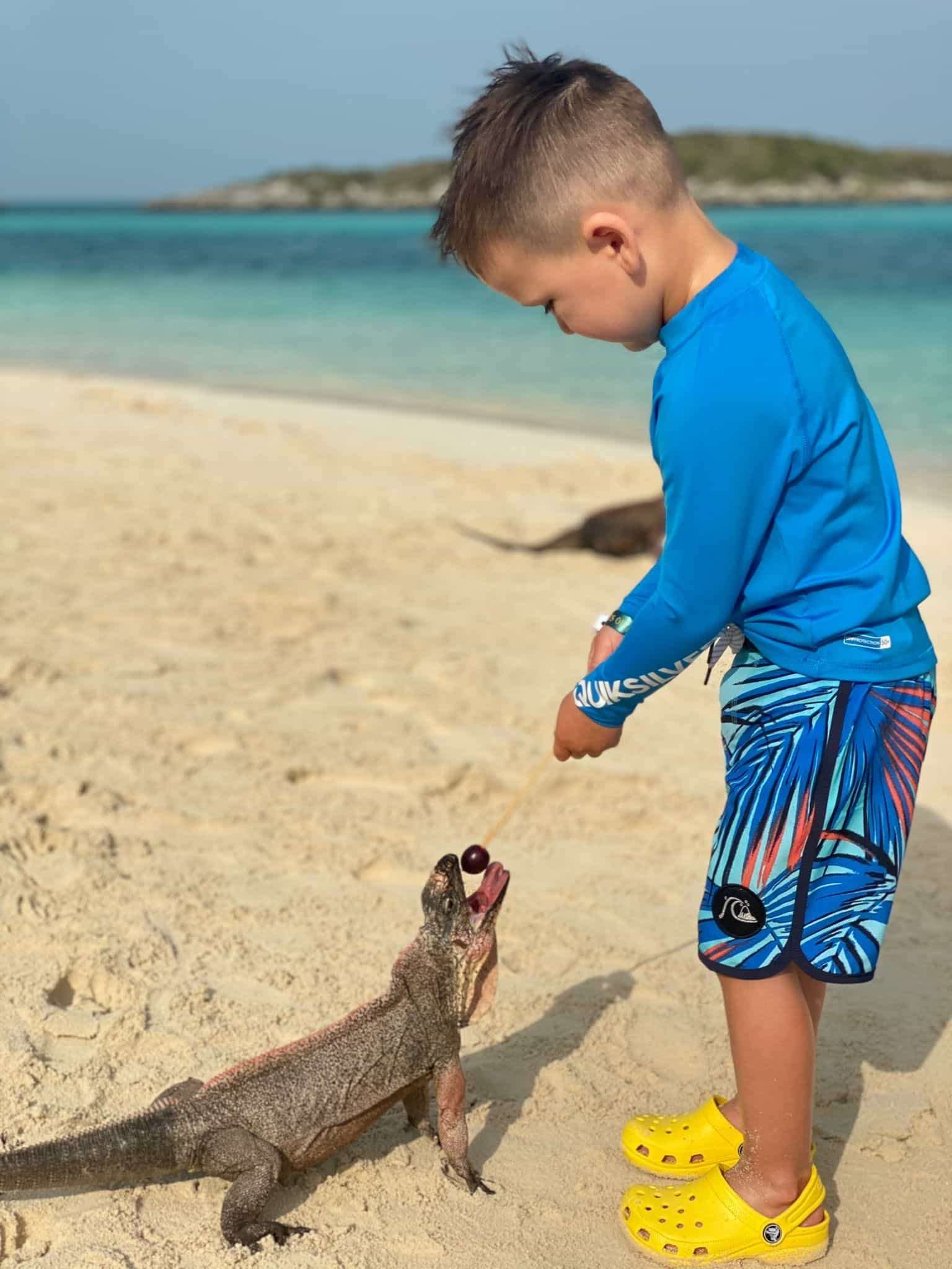 boy-feeding-iguana-min