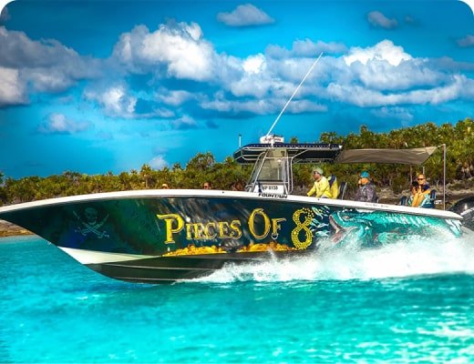 Bahamas Swimming Pigs Excursions
