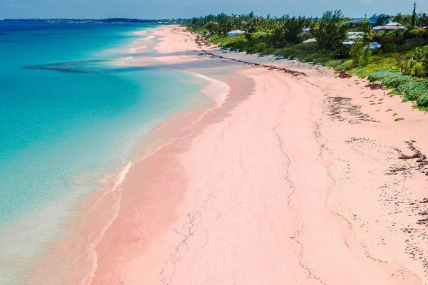 pink sand beach