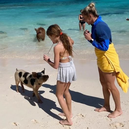 pig beach