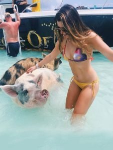 Bahamas Island Adventures