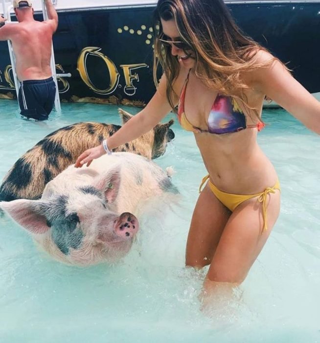 Swim With Pigs Nassau